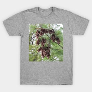 Pinecones in the Forest T-Shirt